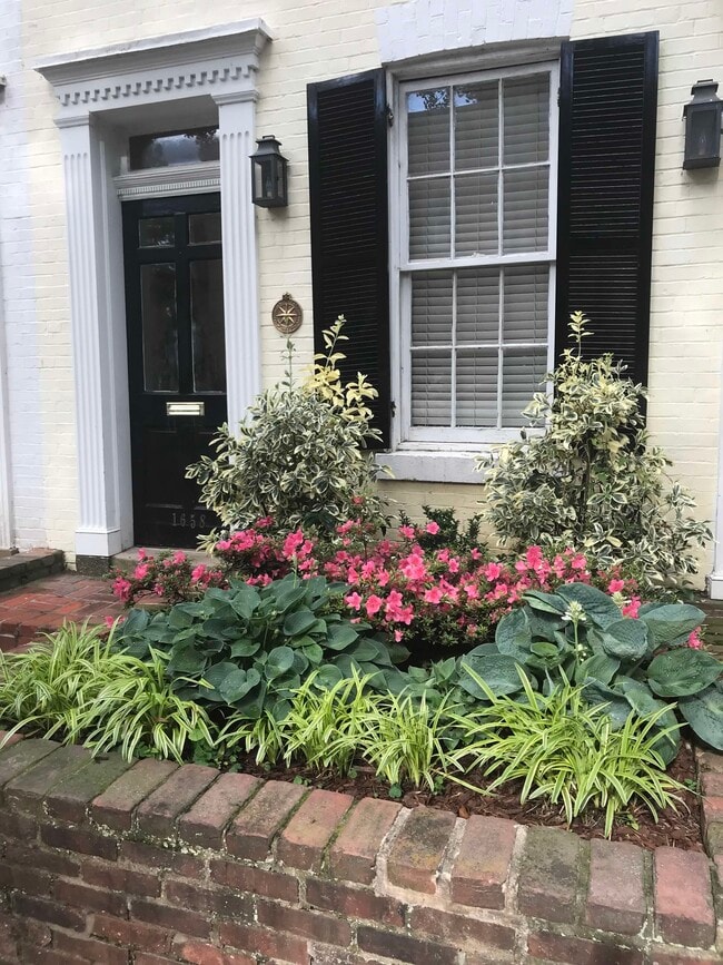 Front Garden - 1658 Avon Pl NW