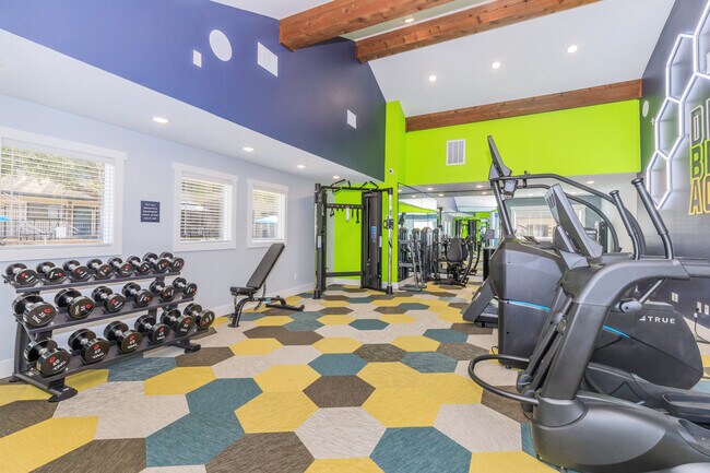 Building Photo - The Arts Apts At South Austin