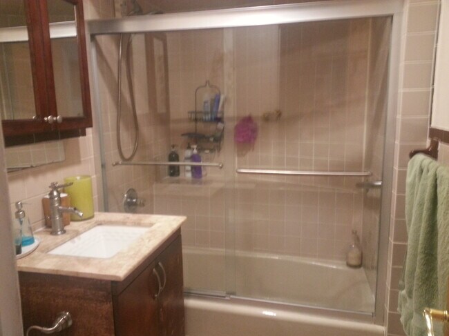 Bathroom - 162 Shaler Ave