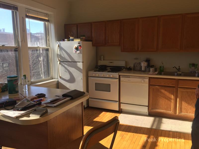 Primary Photo - 1234 N Wolcott Ave
