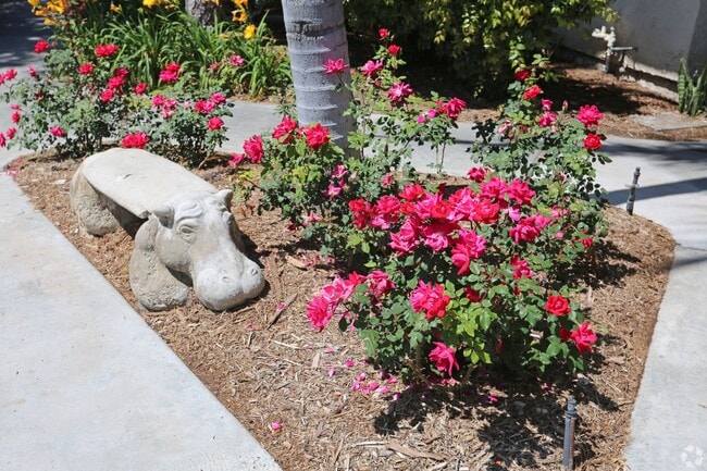 Building Photo - Rancho Monterey Apartments