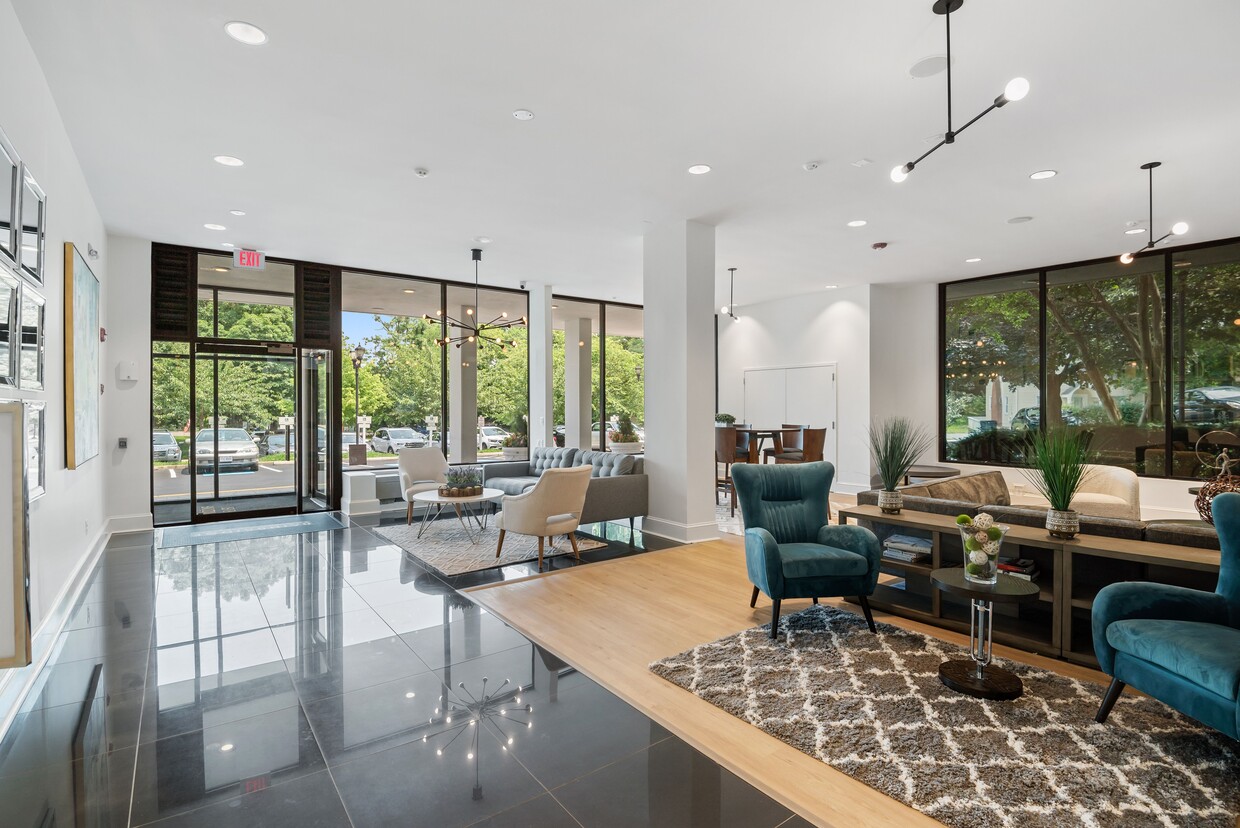 Photo - The Horizons