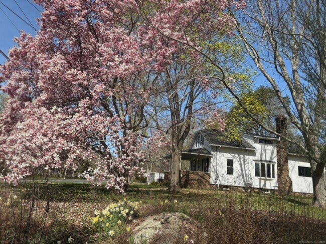 Foto del edificio - 2839 Boston Post Rd