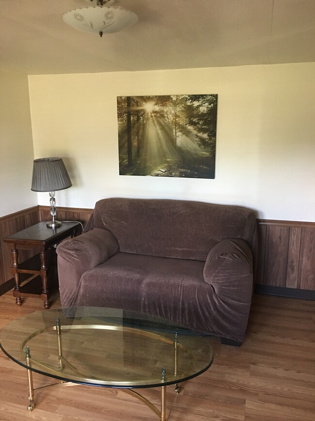 living room - 45111 Cadiz Harrisville Rd
