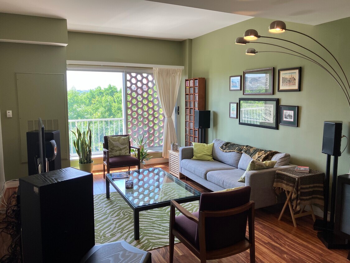 Living Room - 800 4th St SW