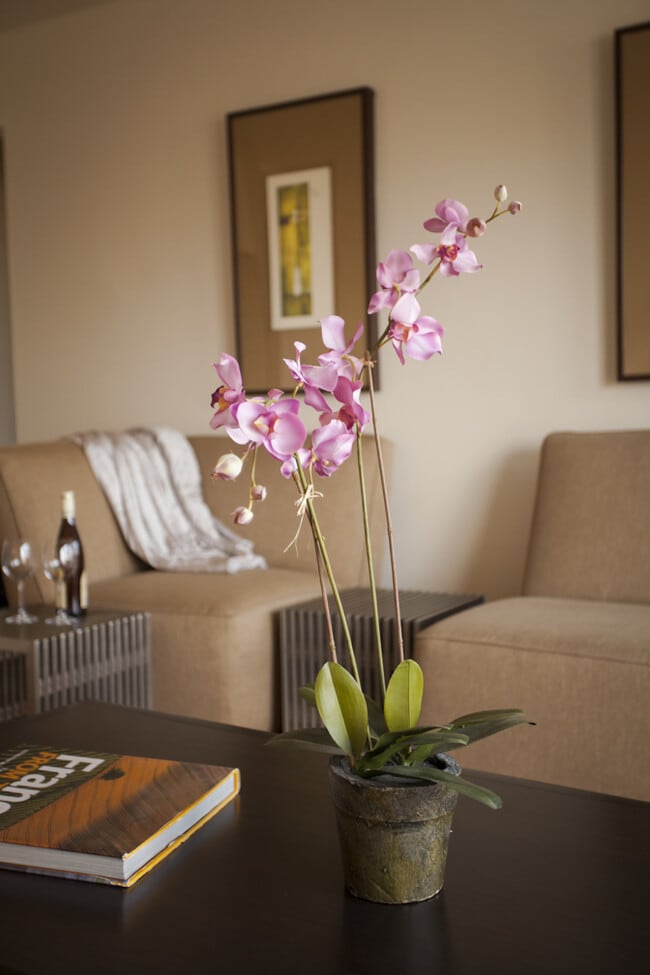 Building Photo - SDK Lodi Apartments