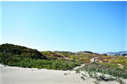 Sand dunes accross from apartment - 1580 Great Hwy