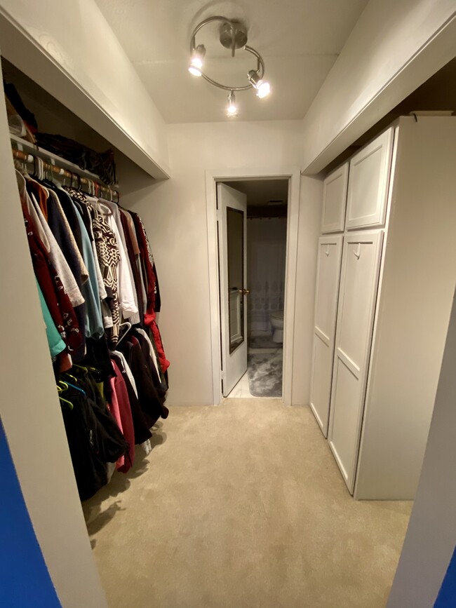 Bedroom1 walk in closet - 1110 3rd Ave N