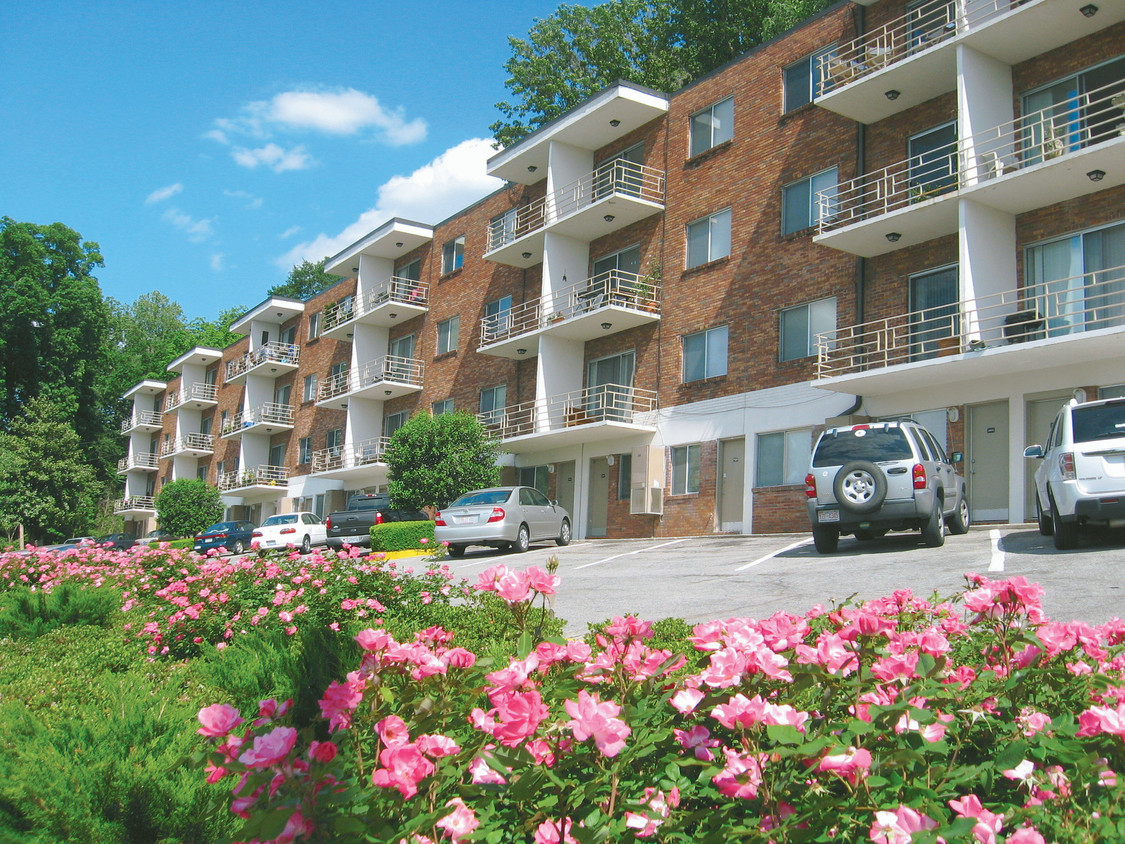 Primary Photo - Terrace Apartments