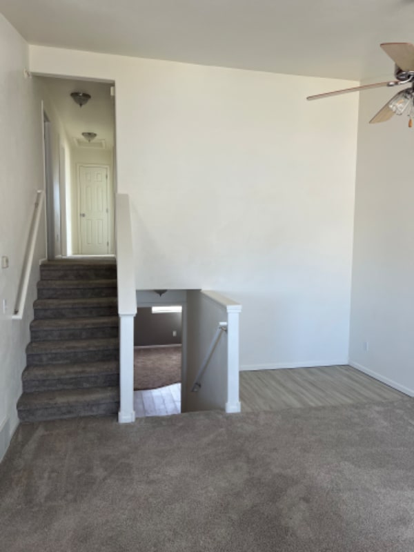 Building Photo - 4012 Grapevine Ln