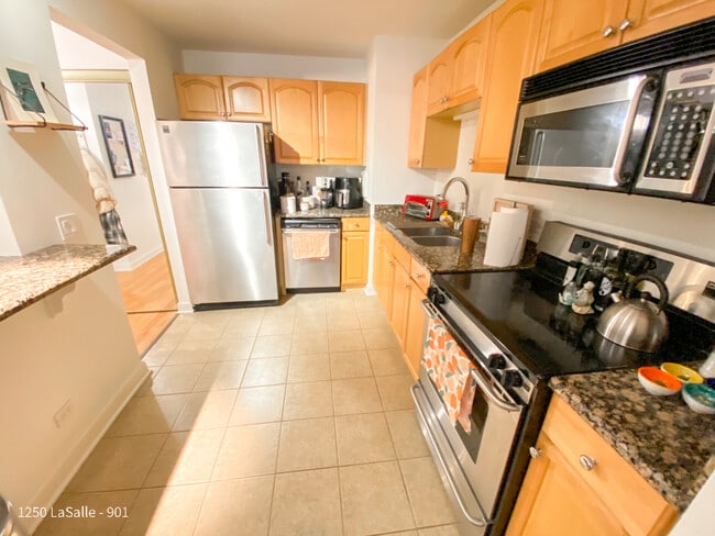 Building Photo - 1250 N La Salle Dr