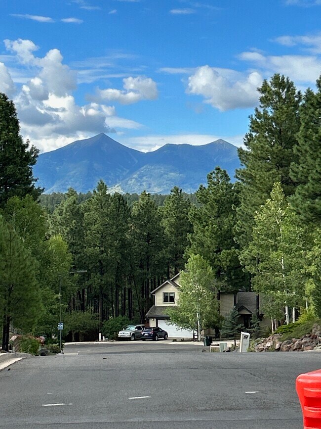 Foto del edificio - 2407 S Rocking Horse Ln