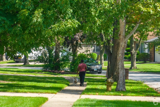 Enjoy a walk with your dog on the quiet tree-lined streets of Country Club Hills.