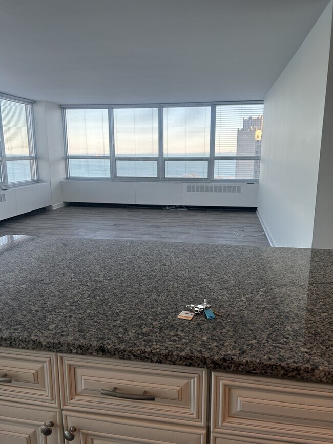 Foto del edificio - 4800 S Chicago Beach Dr