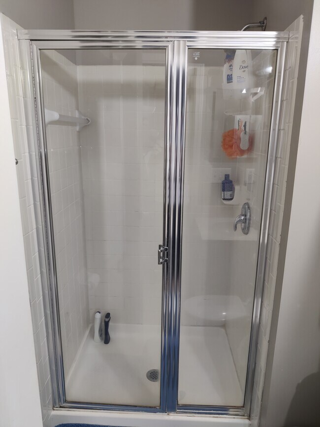 Master Bath - 8608 Olenbrook Dr