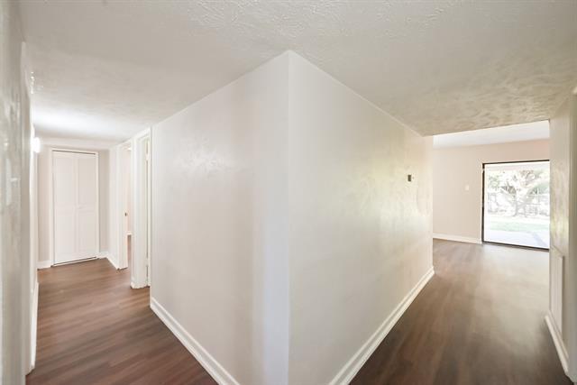 Building Photo - 2825 Santa Monica Dr