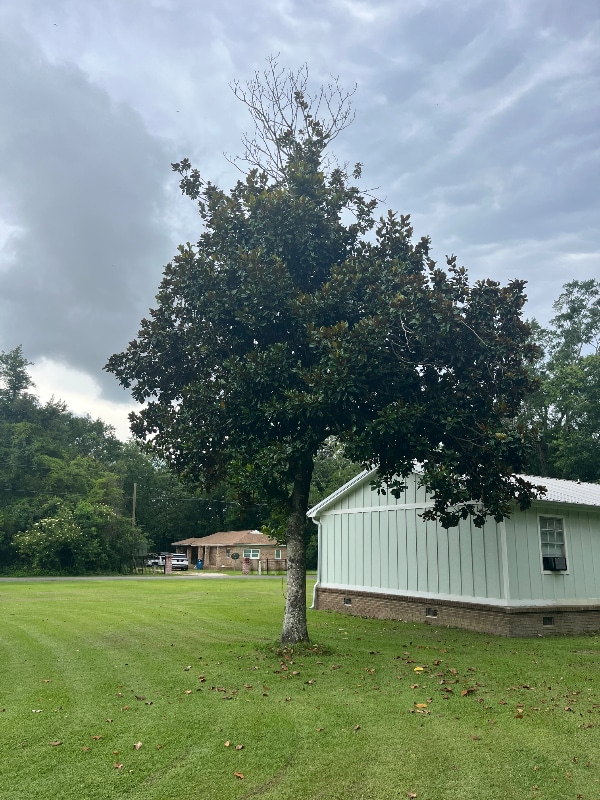 Building Photo - 26743 Pine St