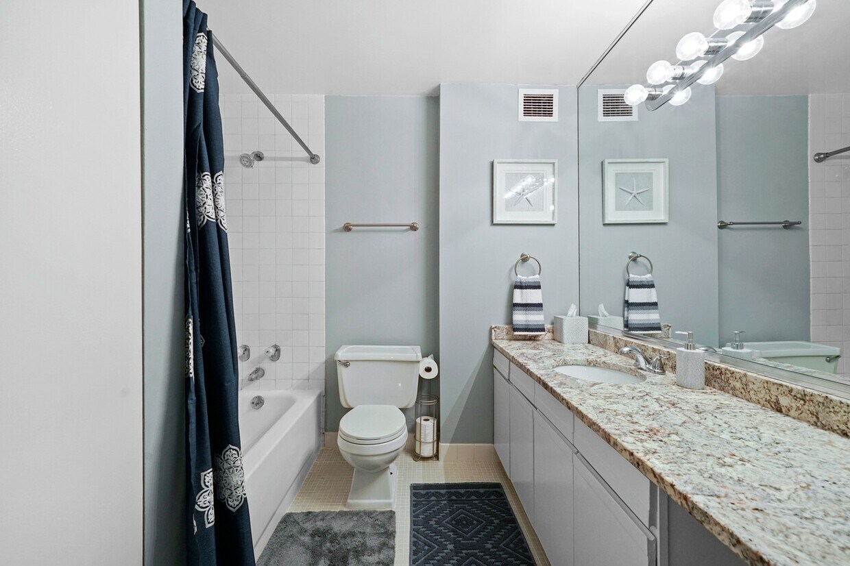 233 E Erie St Unit 2105, Chicago, IL 60611 Condo for Rent in Chicago