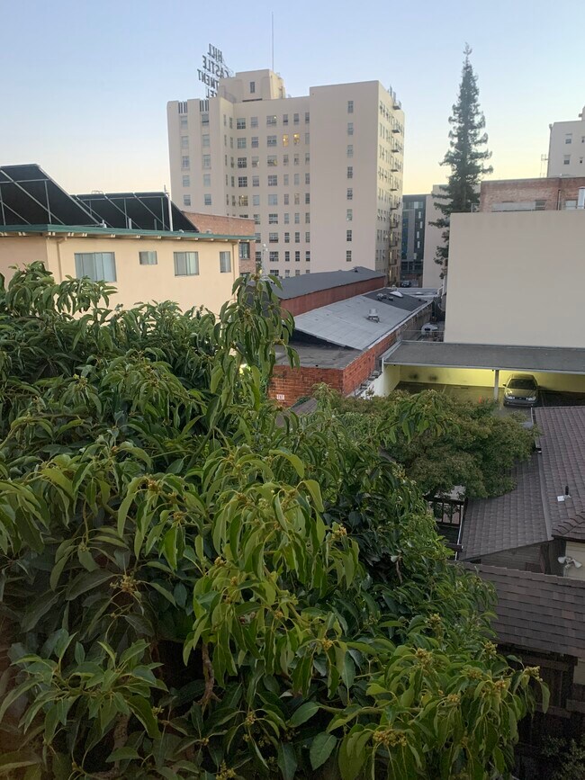 View from Bedroom - 1502 Alice St