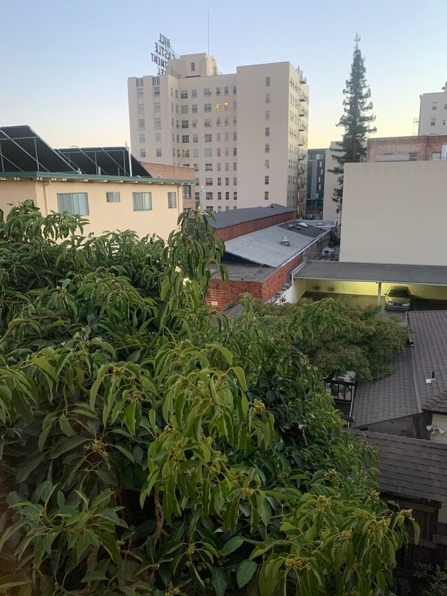 View from Bedroom - 1502 Alice St