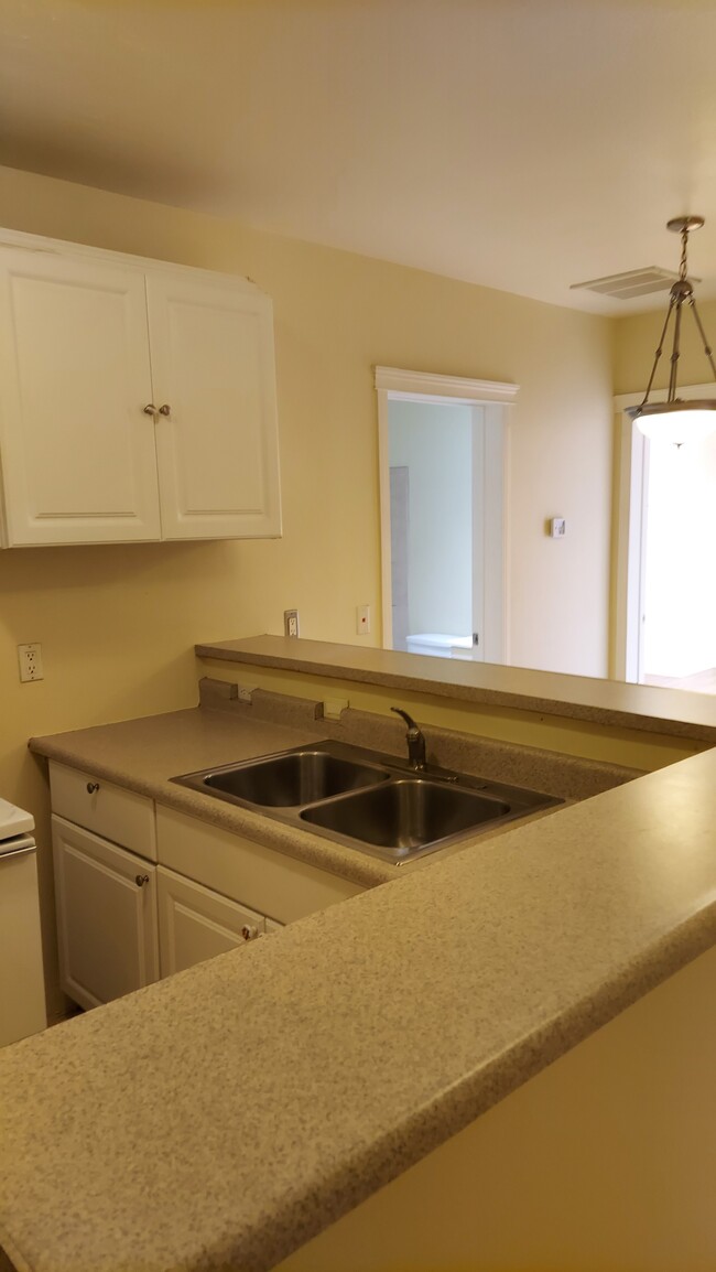 Kitchen Sink & Counter - 1325 Venice Blvd