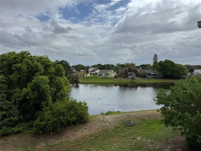 Foto del edificio - 2569 Grassy Point Dr