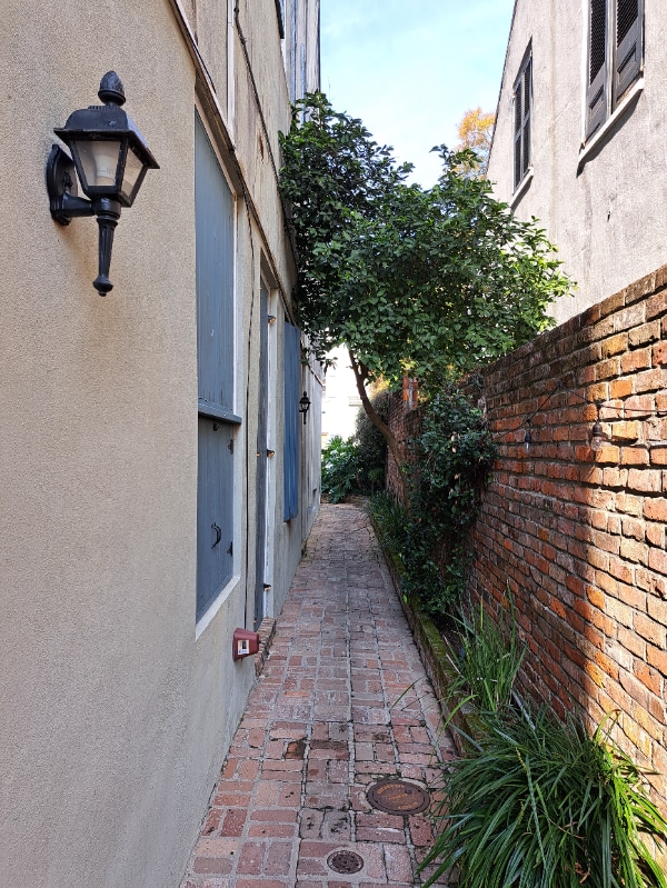 Photo - 617 Dauphine St House