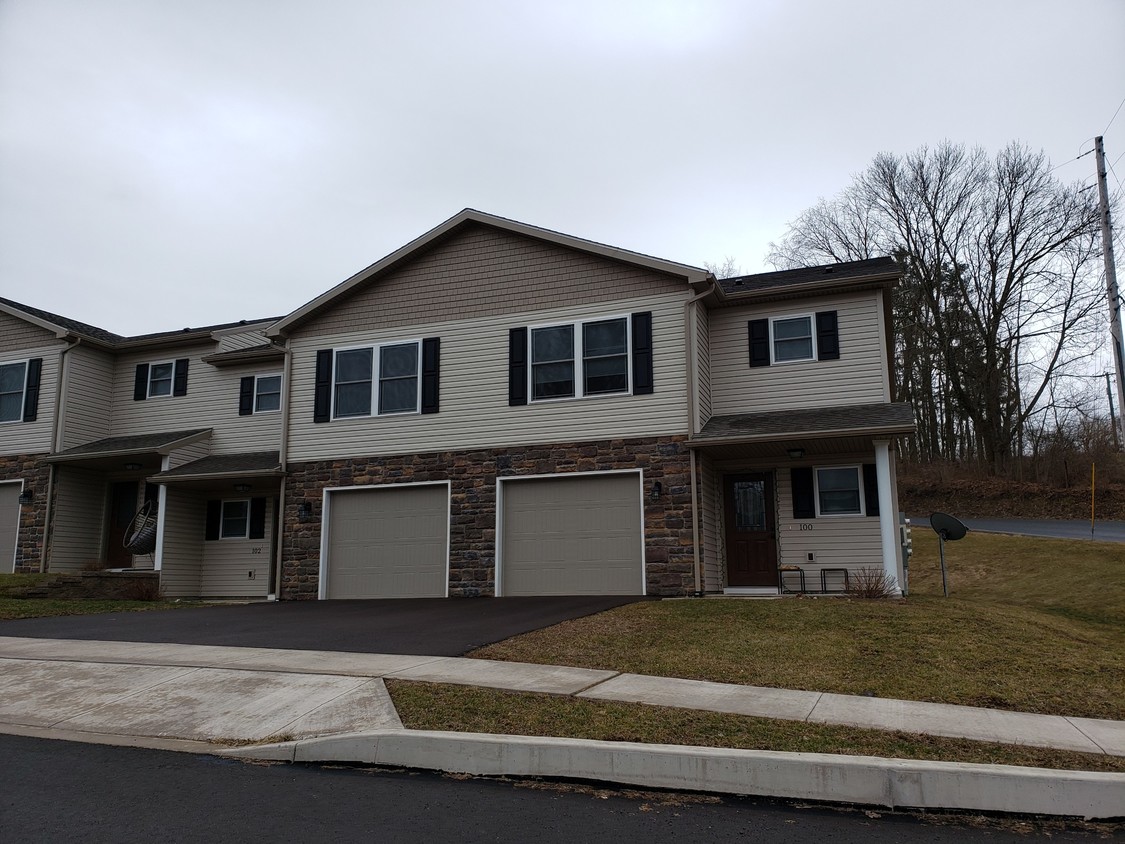 206 Hollow Dr, Danville, PA 17821 - Townhouse for Rent in Danville, PA