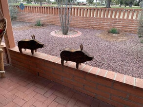 Building Photo - 257 E Los Rincones