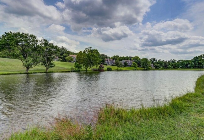 Building Photo - Lake Vista Apartment-Stunning Views