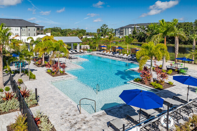 Resort Style Pool - The Crossing at Palm Aire