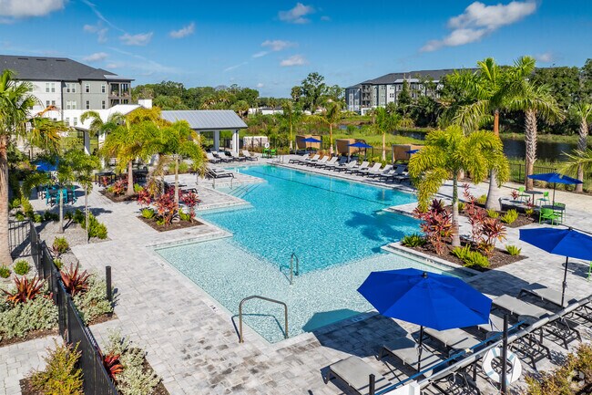 Resort Style Pool - The Crossings at Palm Aire
