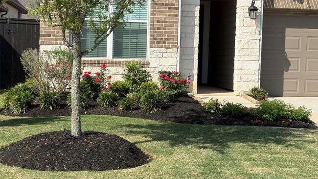 Foto del edificio - 215 Amaranth Wy