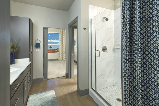 Carrara-tile surround showers - District at Biltmore Apartments