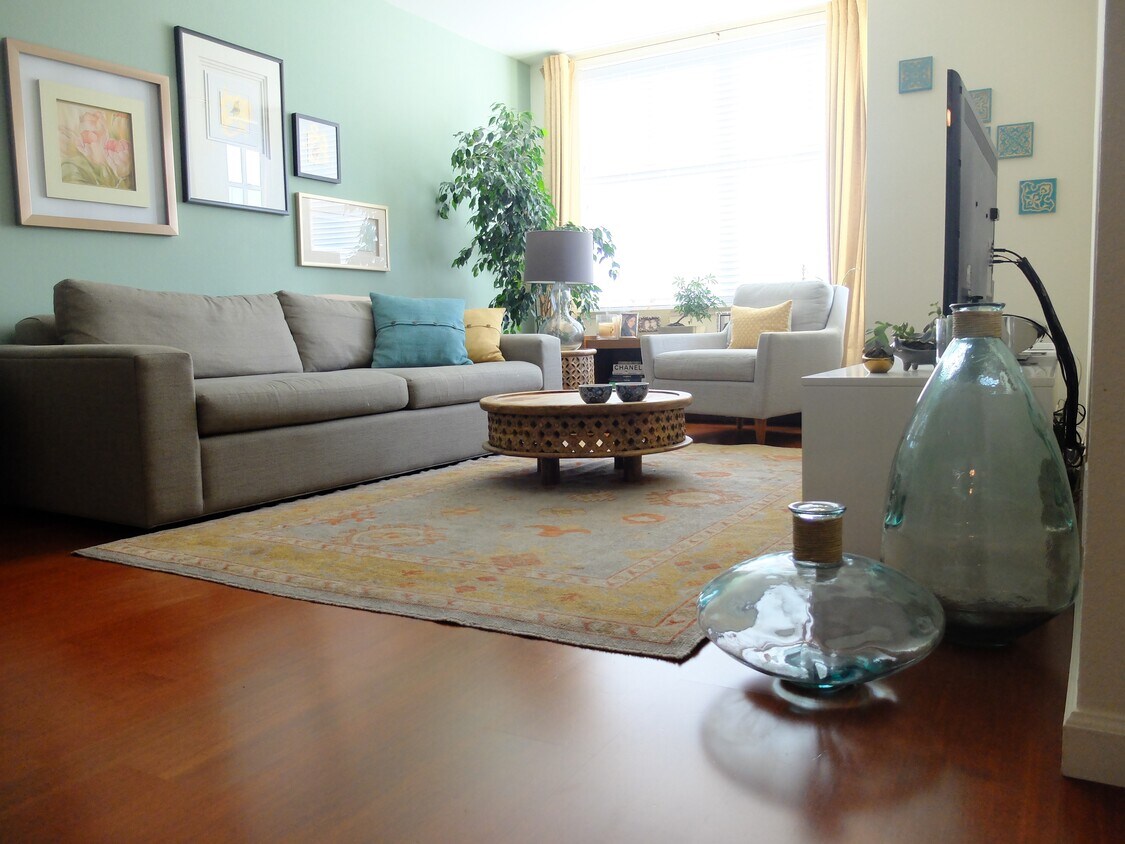 Living room - 2075 Sutter St