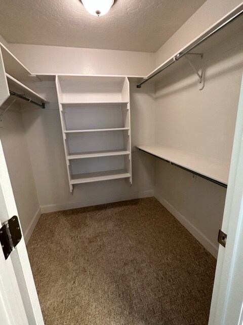 Foto del edificio - 587 S Wyngate Pointe Ln