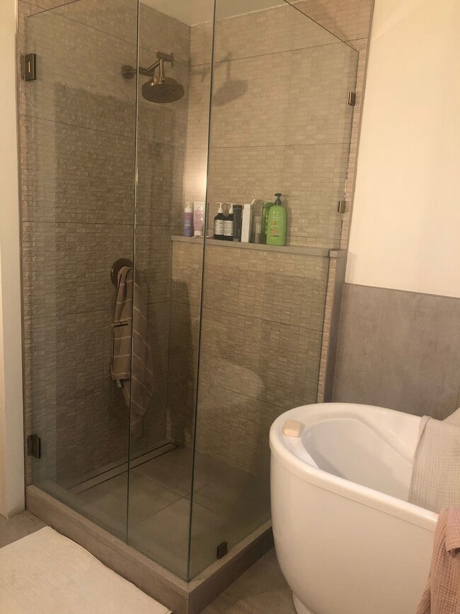 Luxurious shower and soaking tub. - 1235 S University Blvd