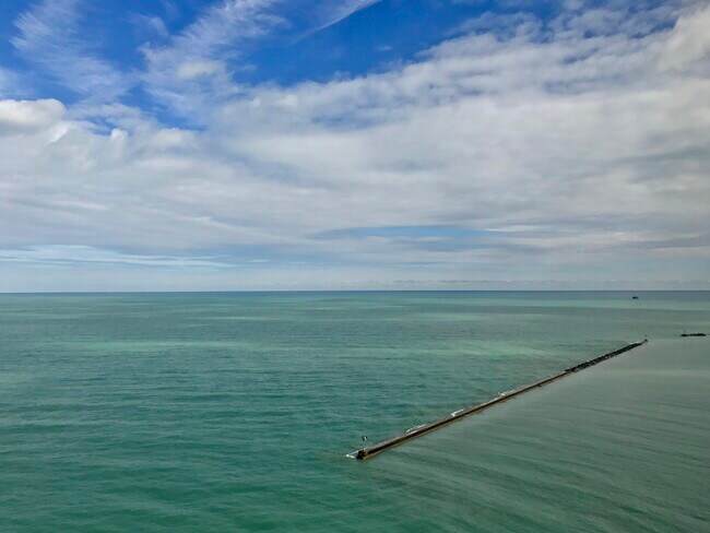 Foto del edificio - 900 N Lake Shore Dr