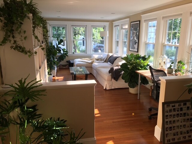 Photo - 88 Warwick Rd (Newton, MA)