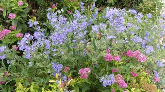 Foto del interior - Lincoln Pointe Lofts