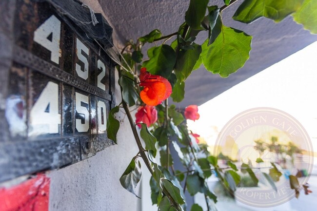 Building Photo - 450-452-452 Collingwood St