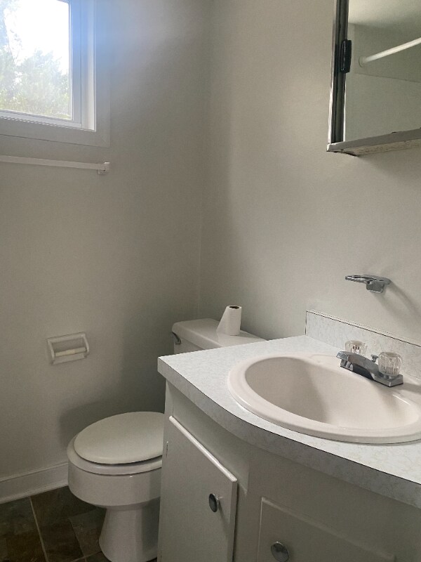 4402 N Lakefront Dr, Richmond, VA 23294 House Rental in Richmond, VA