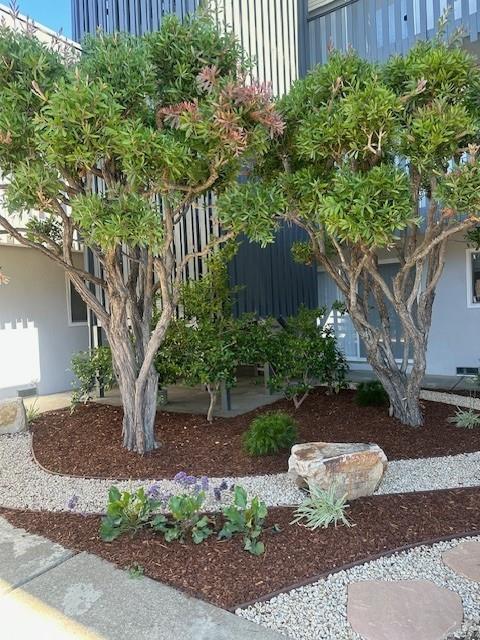 Building Photo - 3257 Glendora Dr