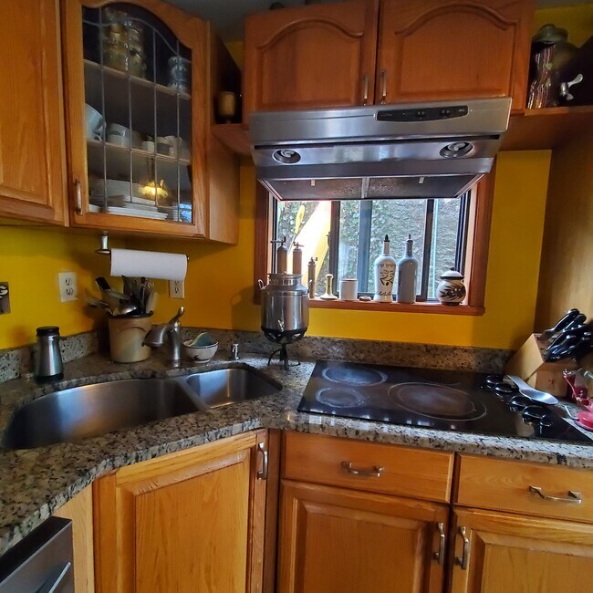 Kitchen/Stove top - 191 Elliot St