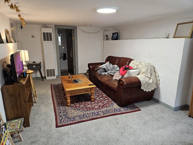 Living room, occupied - 338 E Pitkin St