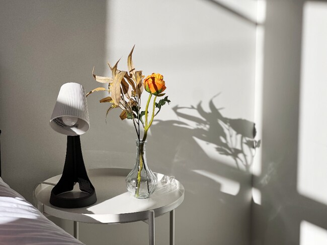 Foto del edificio - 619 N 39th St