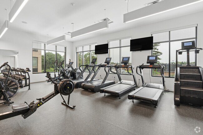 Gimnasio - Park Monroe
