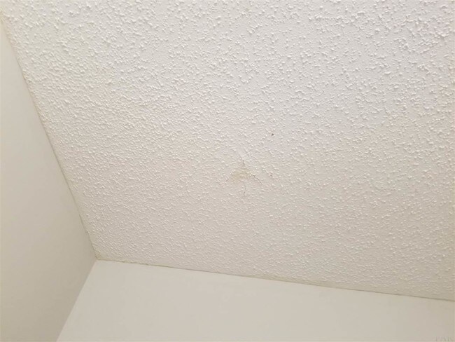 Building Photo - 2292 Equestrian Way