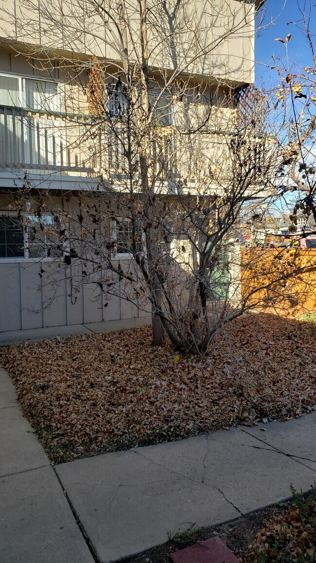 Building Photo - 1609 Cottonwood Dr