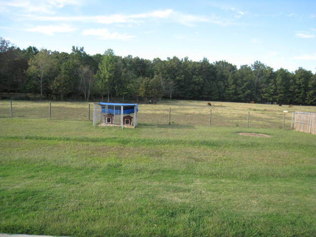 Building Photo - Half off first full month rent move in special!